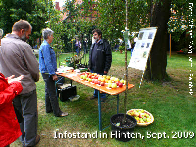 Infostand_in_Flinten